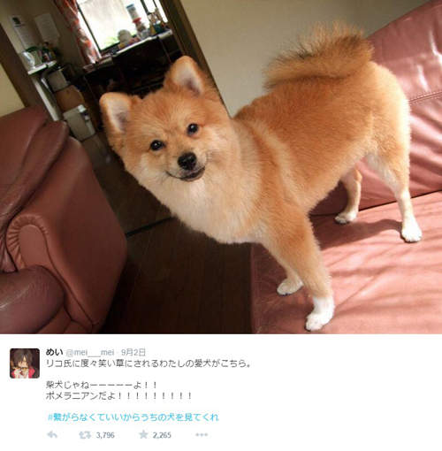 圖片5 圖片5