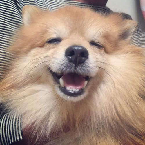 圖片7 圖片7