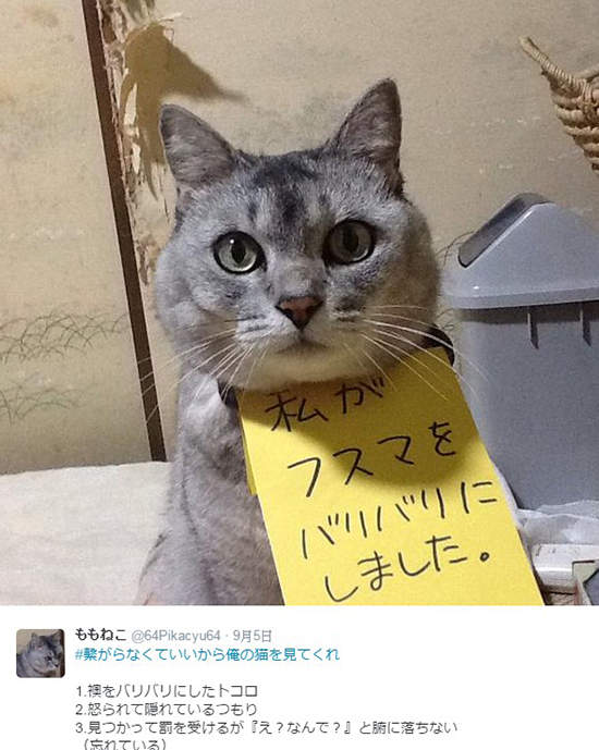 圖片19 圖片19