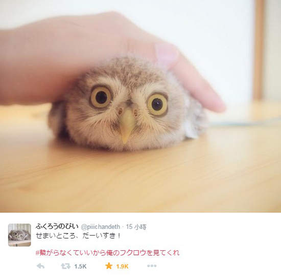 圖片20 圖片20