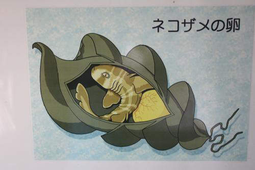 圖片8 圖片8