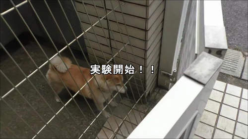 圖片5 圖片5