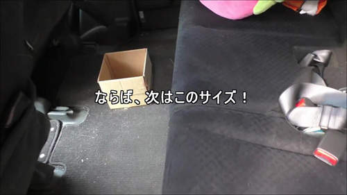 圖片8 圖片8