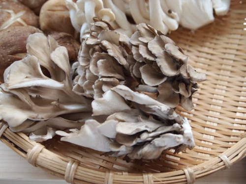 圖片9 圖片9