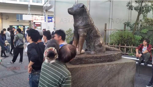 圖片6 圖片6