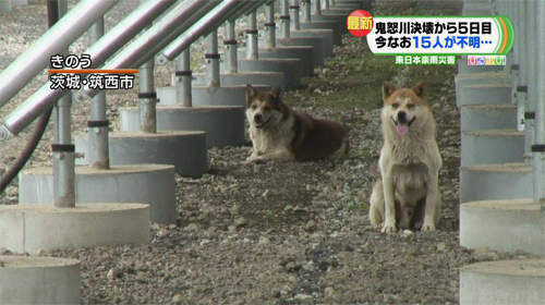 圖片7 圖片7
