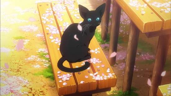 圖片8 圖片8