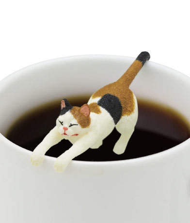 圖片7 圖片7
