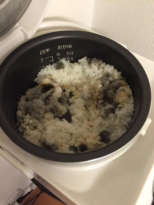 圖片5 圖片5