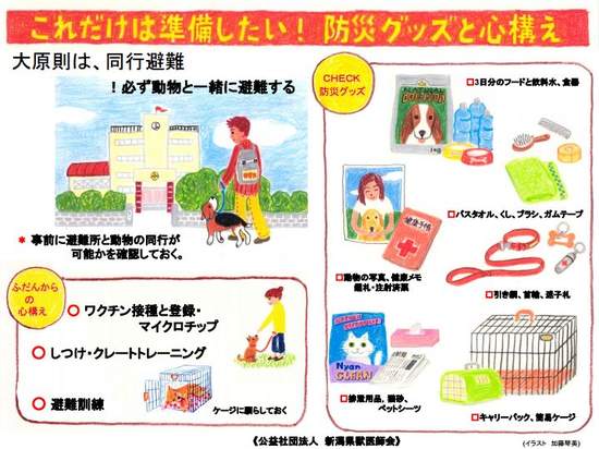 圖片11 圖片11
