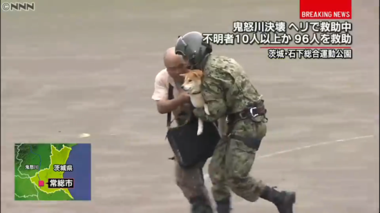 圖片4 圖片4