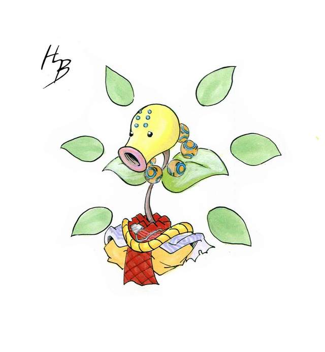 圖片11 圖片11