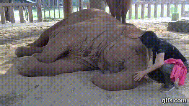 圖片6 圖片6