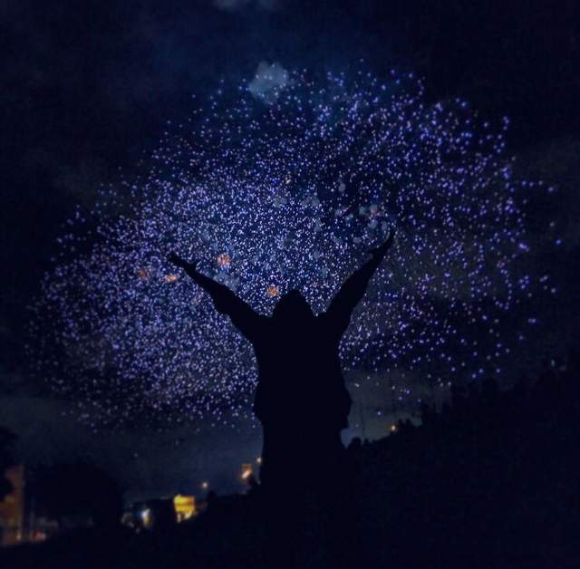 圖片5 圖片5