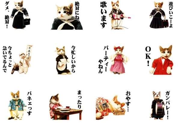 圖片5 圖片5