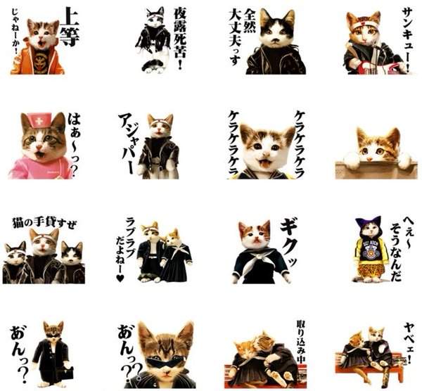 圖片4 圖片4