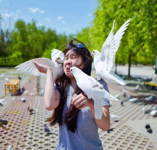 圖片9 圖片9