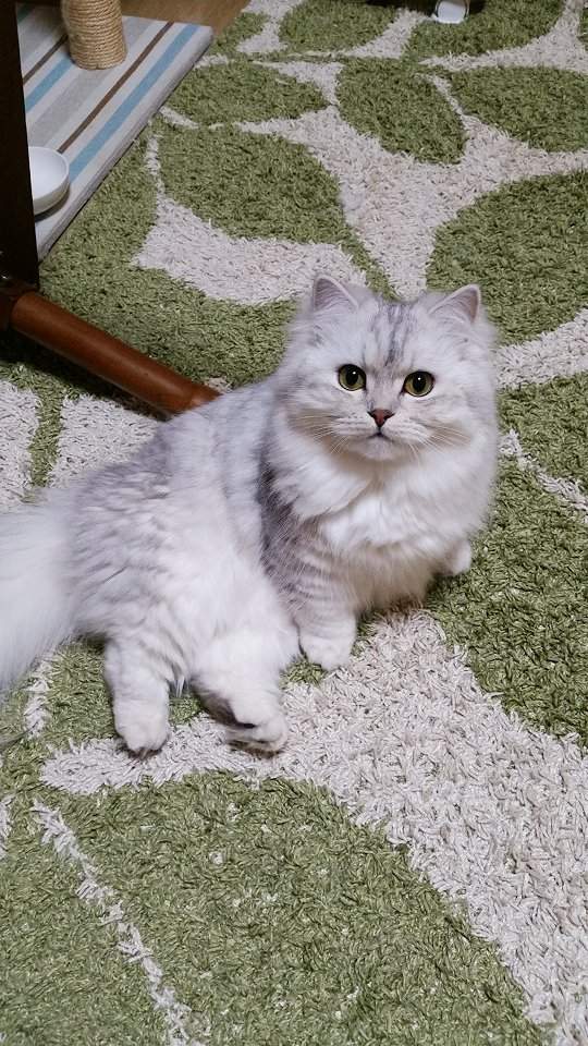 圖片5 圖片5
