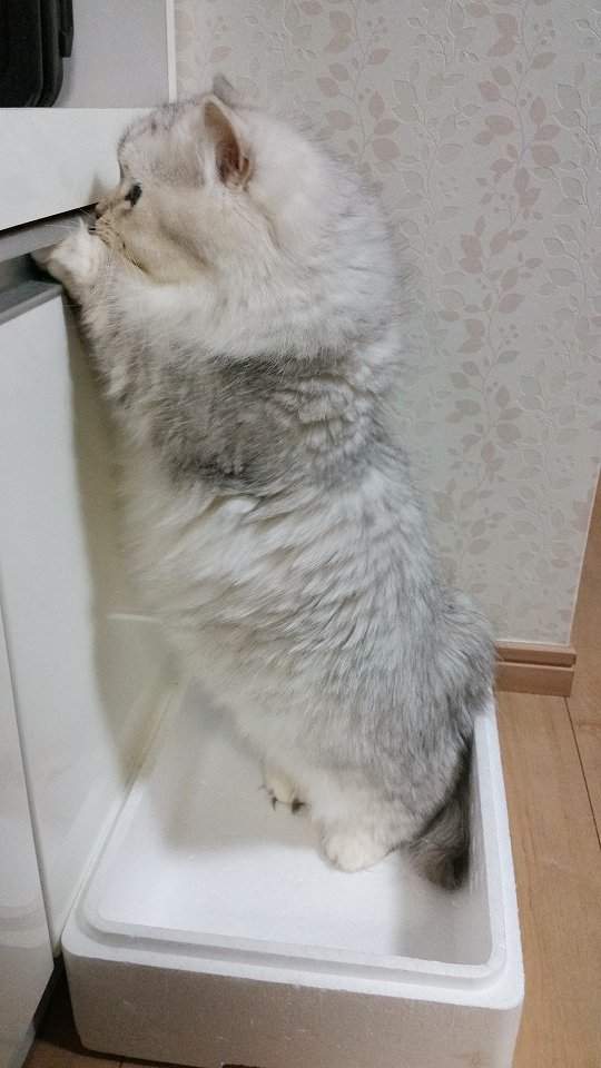 圖片6 圖片6