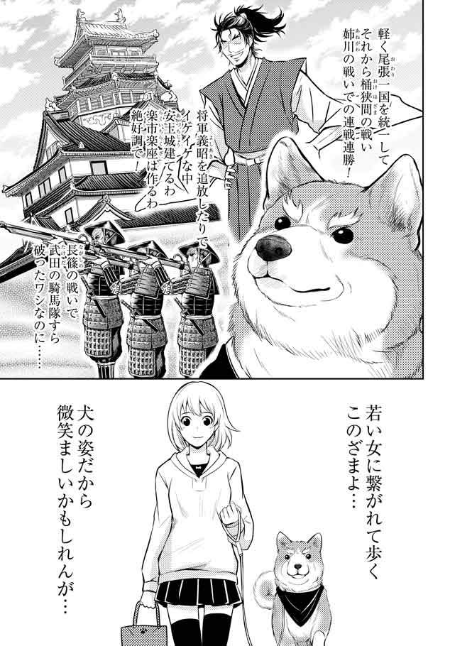 圖片6 圖片6