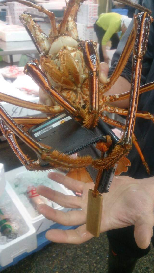 圖片7 圖片7