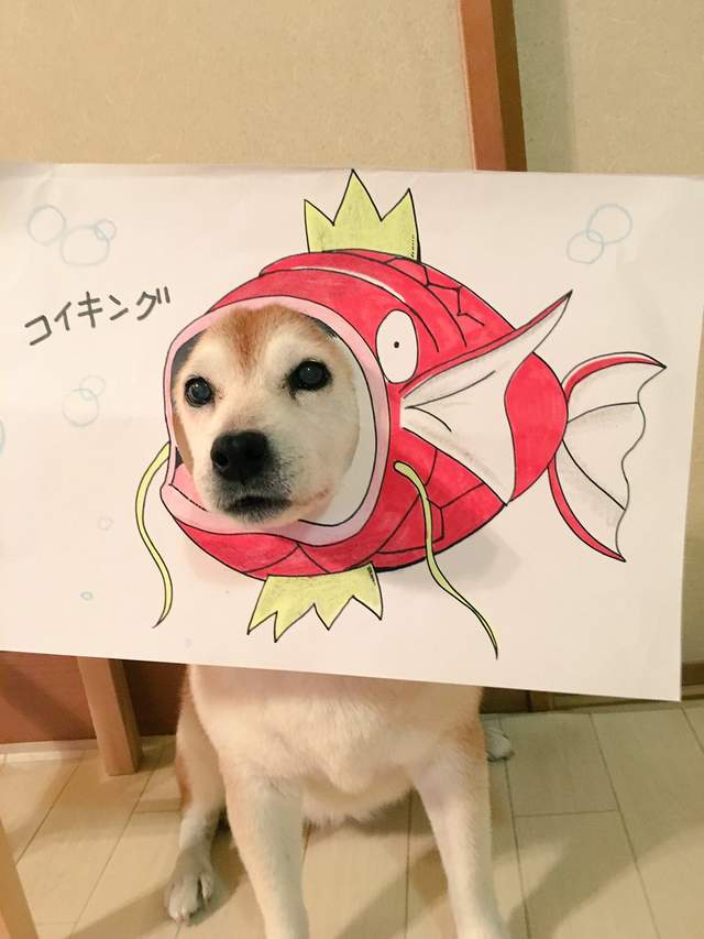 Tuna Fish Dog Costume 
