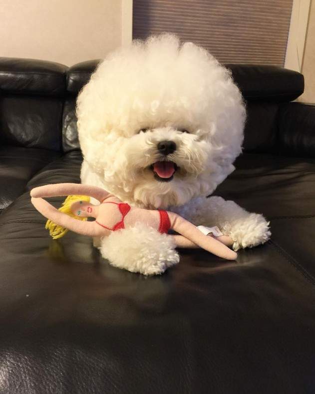 圖片8 圖片8