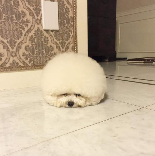 圖片6 圖片6