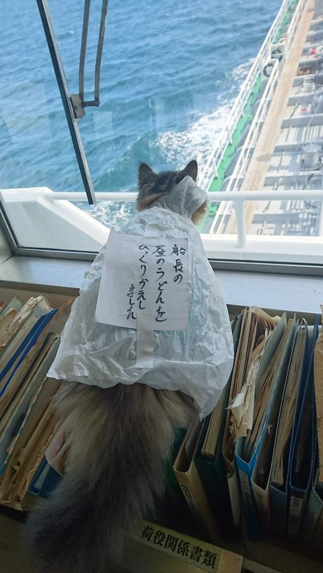 圖片7 圖片7
