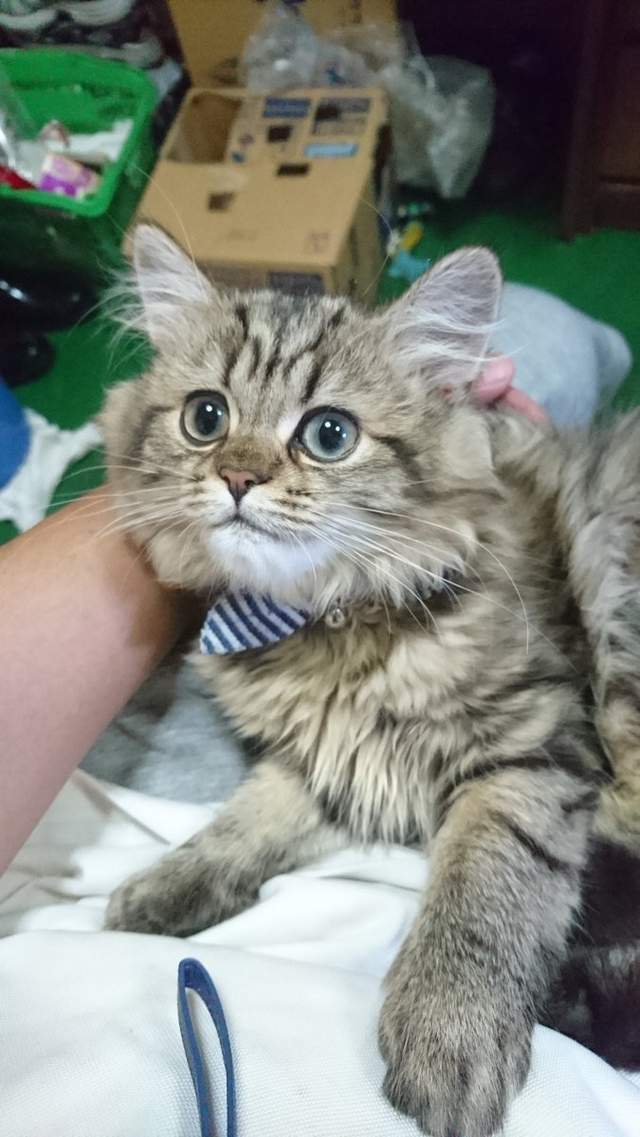 圖片8 圖片8