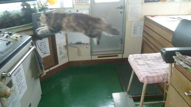 圖片9 圖片9