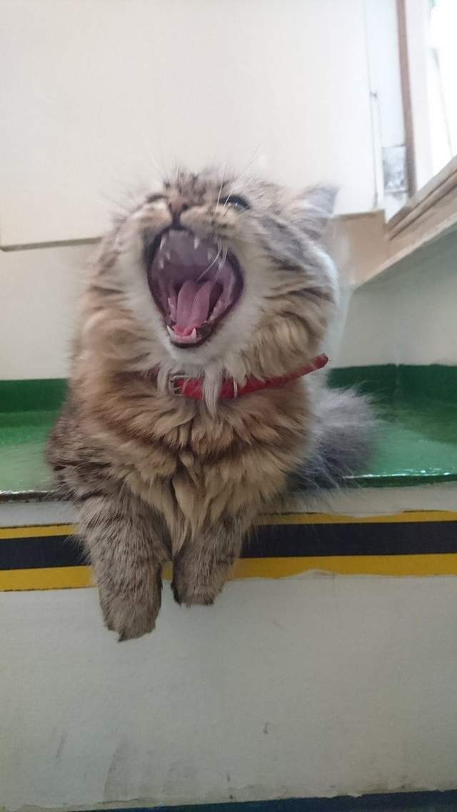 圖片6 圖片6