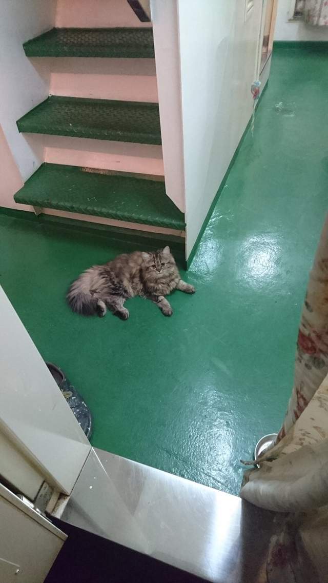 圖片12 圖片12