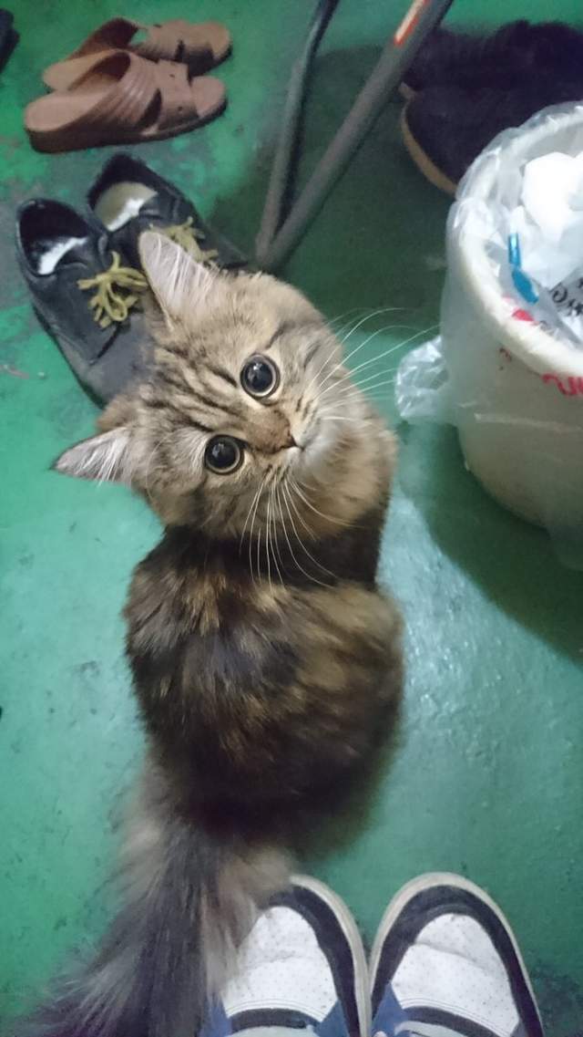 圖片13 圖片13