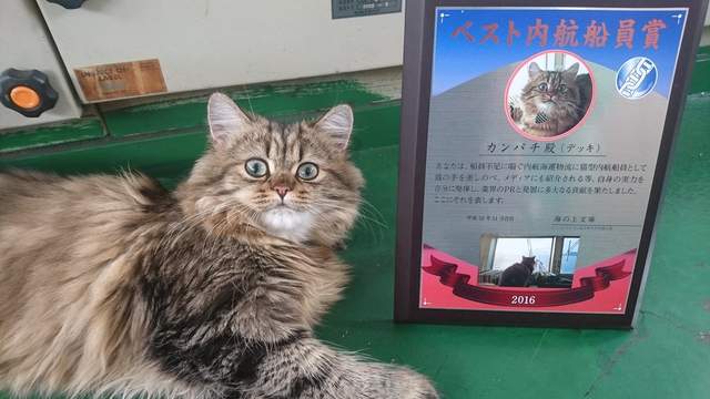圖片17 圖片17