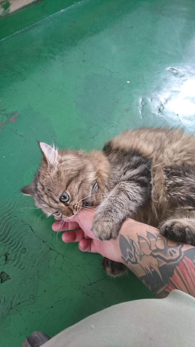 圖片18 圖片18