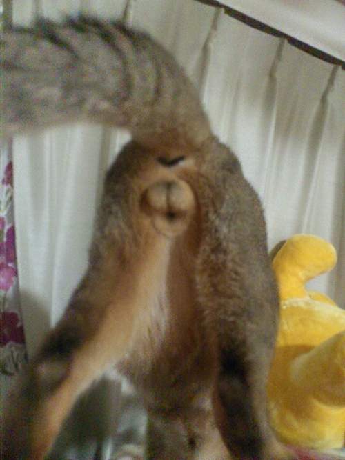 圖片5 圖片5