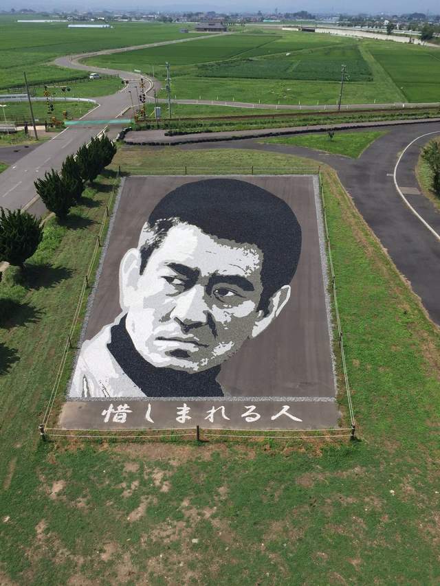 圖片12 圖片12