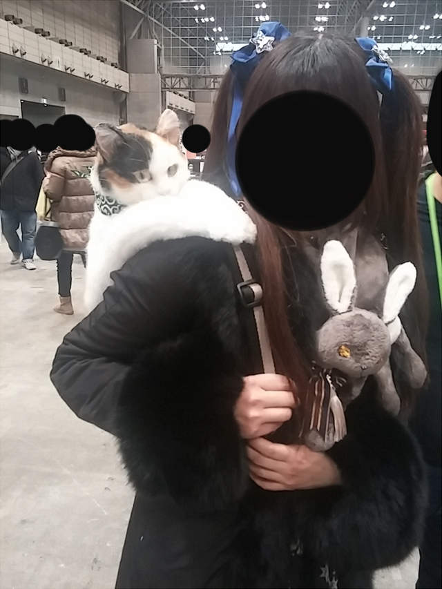 圖片13 圖片13