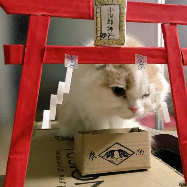 圖片8 圖片8