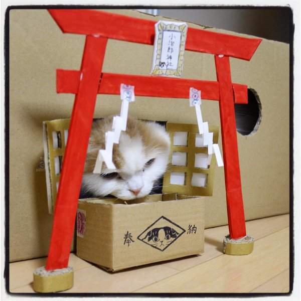 圖片5 圖片5