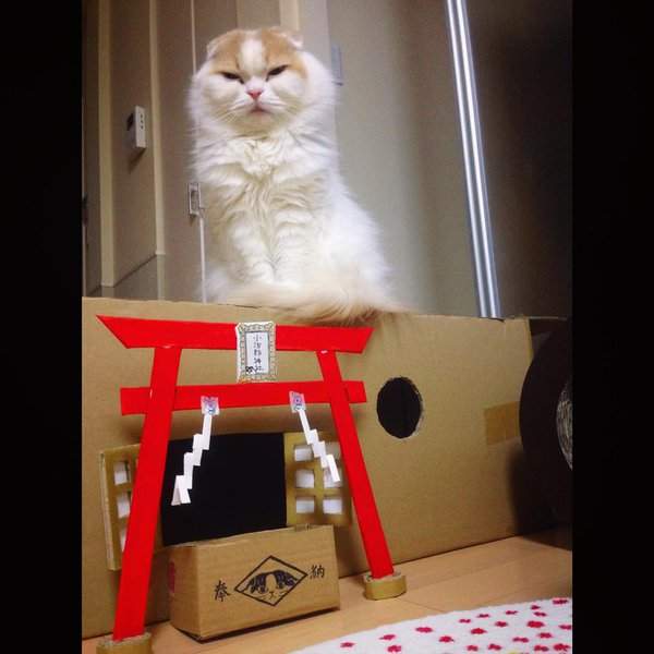 圖片7 圖片7