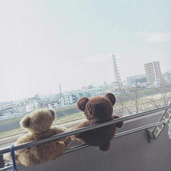 圖片25 圖片25