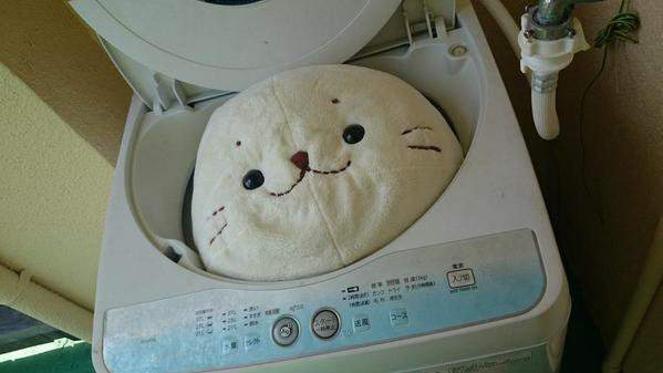 圖片12 圖片12