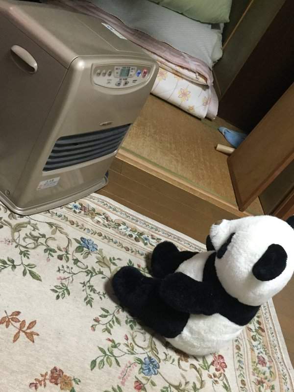 圖片26 圖片26