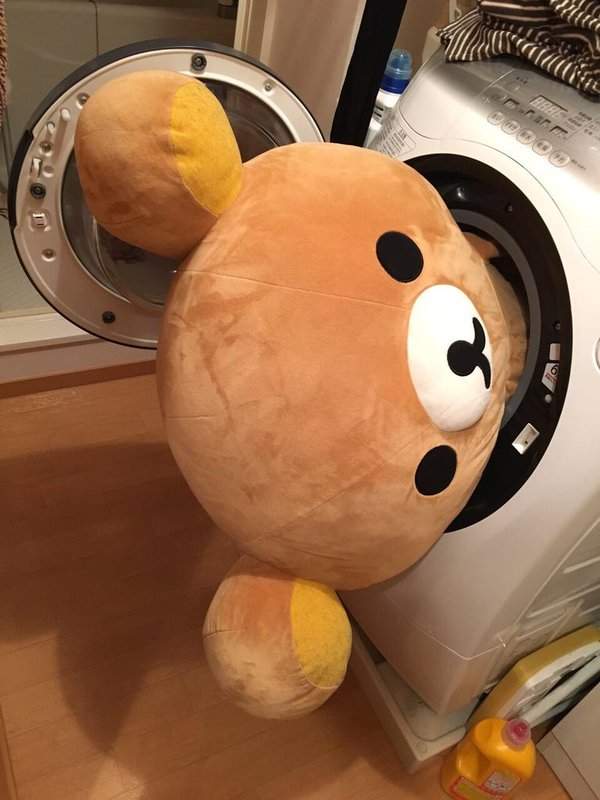 圖片8 圖片8