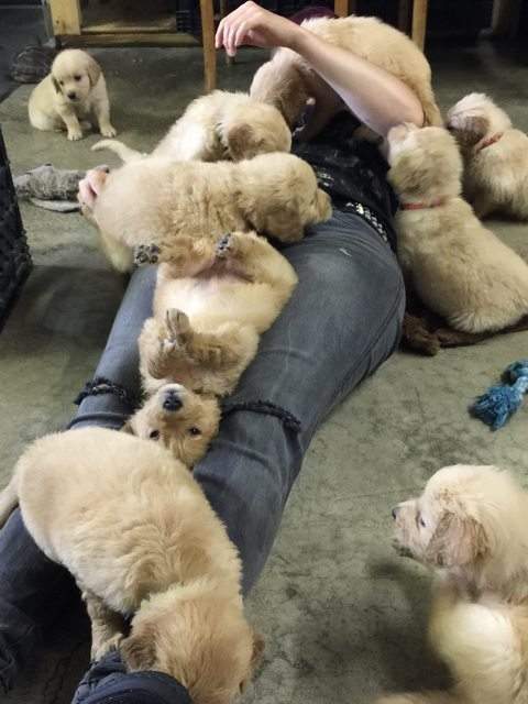 圖片7 圖片7