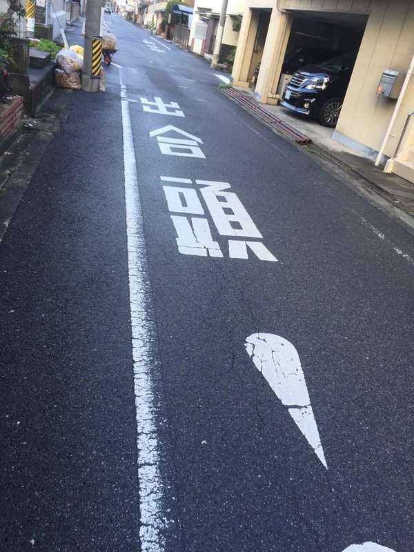 圖片5 圖片5