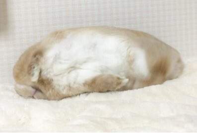 圖片4 圖片4