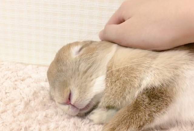圖片6 圖片6
